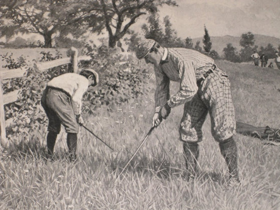 Pic for Roughly Speaking